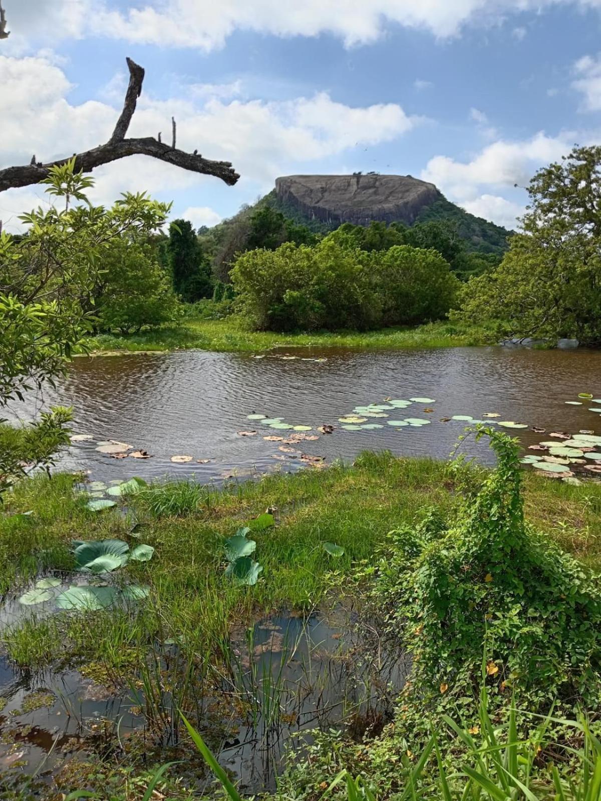 Kings Village Sigiriya Luaran gambar
